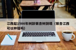 江西超1500年树龄银杏树倒塌（银杏江西可以种植吗）