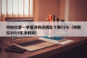 特斯拉第一季度净利润同比下降71%（特斯拉2019年净利润）