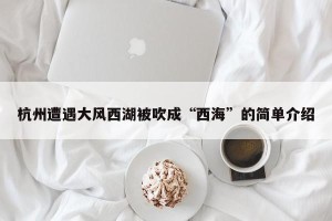 杭州遭遇大风西湖被吹成“西海”的简单介绍