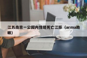 江苏南京一公园内惊现死亡江豚（arma助眠）