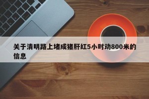 关于清明路上堵成猪肝红5小时动800米的信息