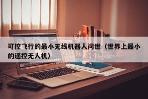 可控飞行的最小无线机器人问世（世界上最小的遥控无人机）