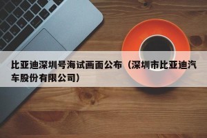比亚迪深圳号海试画面公布（深圳市比亚迪汽车股份有限公司）