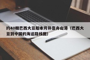 约40艘巴西大豆船本月停靠舟山港（巴西大豆到中国的海运路线图）