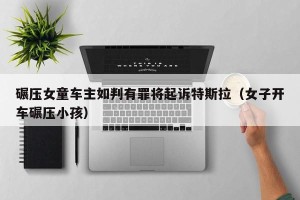 碾压女童车主如判有罪将起诉特斯拉（女子开车碾压小孩）