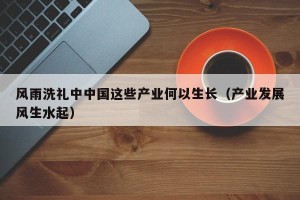 风雨洗礼中中国这些产业何以生长（产业发展风生水起）