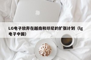 LG电子放弃在越南和印尼的扩张计划（lg电子中国）