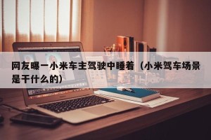 网友曝一小米车主驾驶中睡着（小米驾车场景是干什么的）