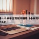 网友曝一小米车主驾驶中睡着（小米驾车场景是干什么的）